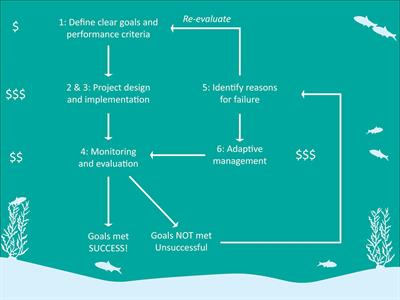Financial and Institutional Support Are Important for Large-Scale Kelp <mark class="highlighted">Forest Restoration</mark>